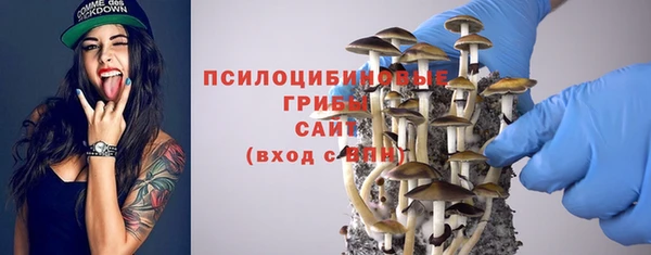 дурь Аркадак